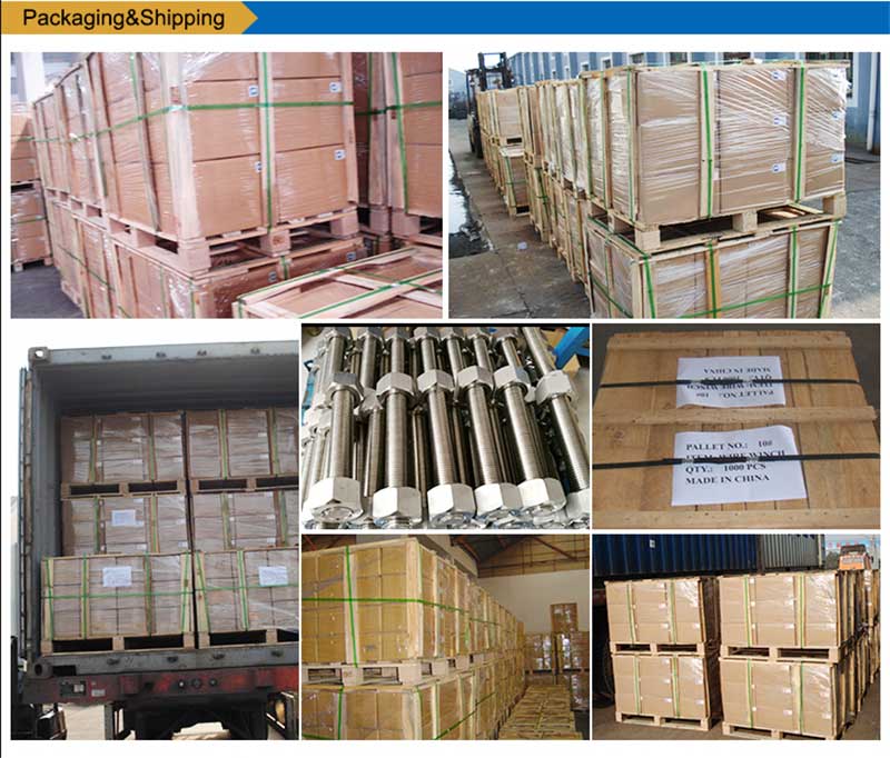 د سټینلیس-سټیل-لیست-بولټس سکرو فاسټینر-بسته کول